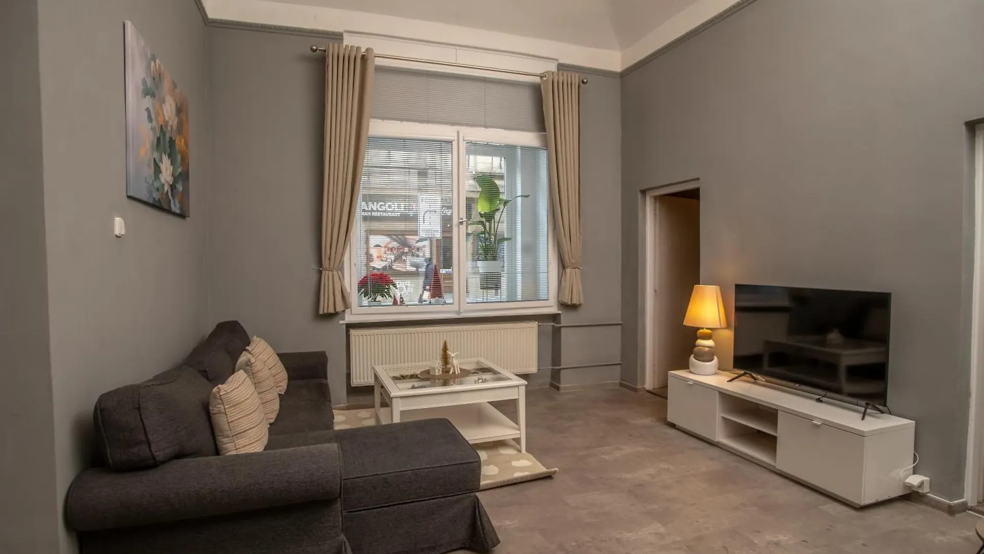 Grand Apartment Near Dancing House Prague