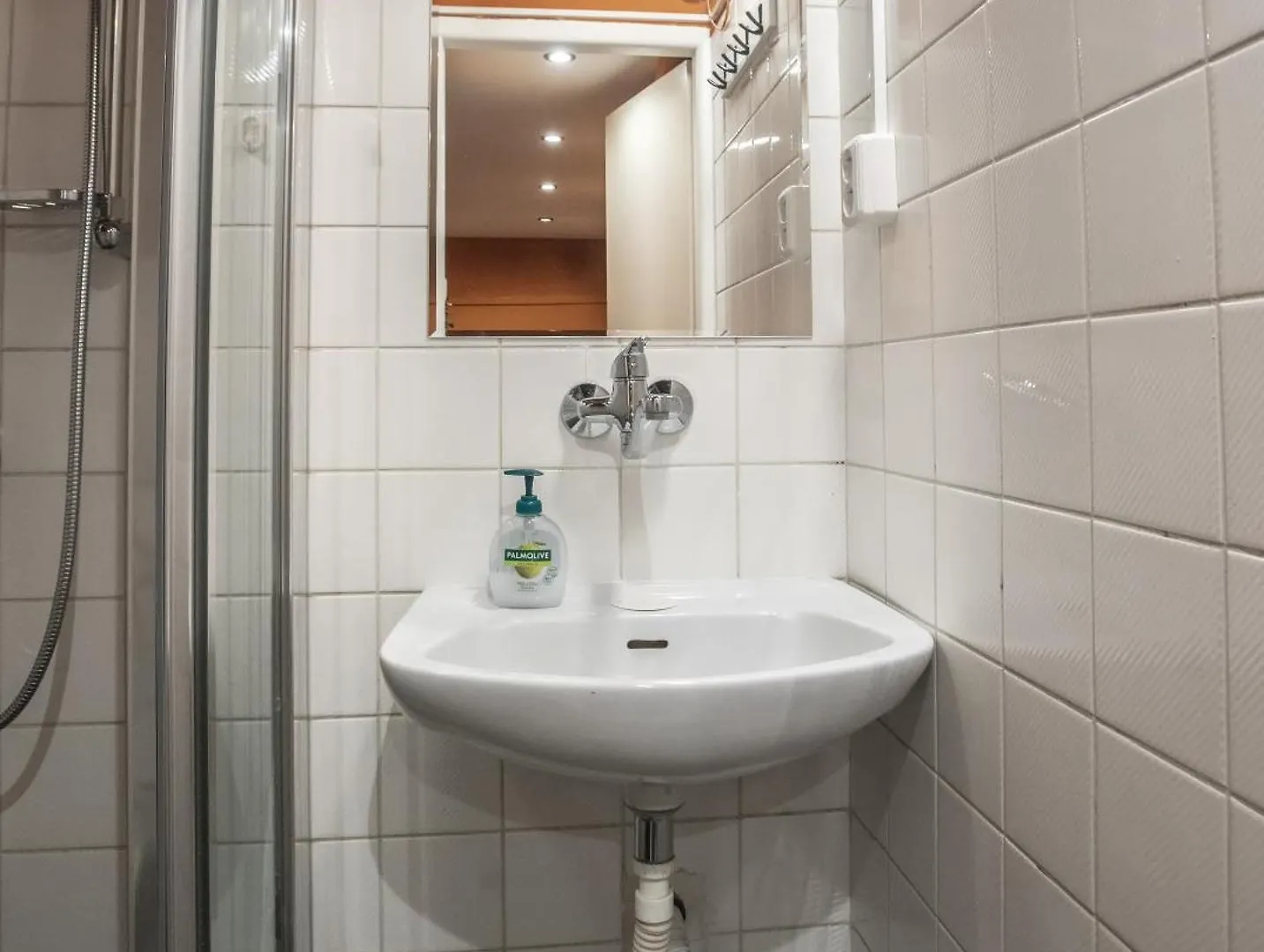 Grand Apartment Near Dancing House Prague 0*,